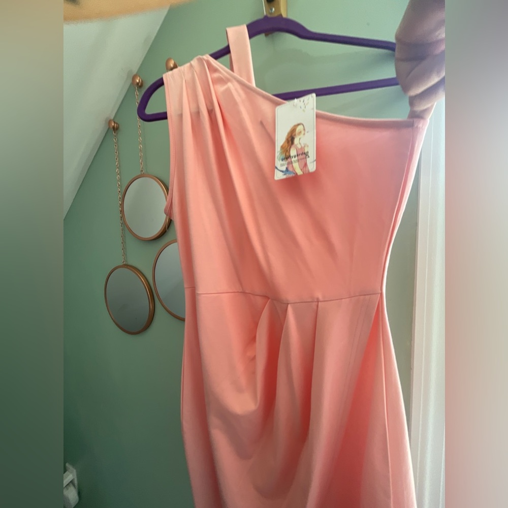 NWT Pretty Garden Mini Dress